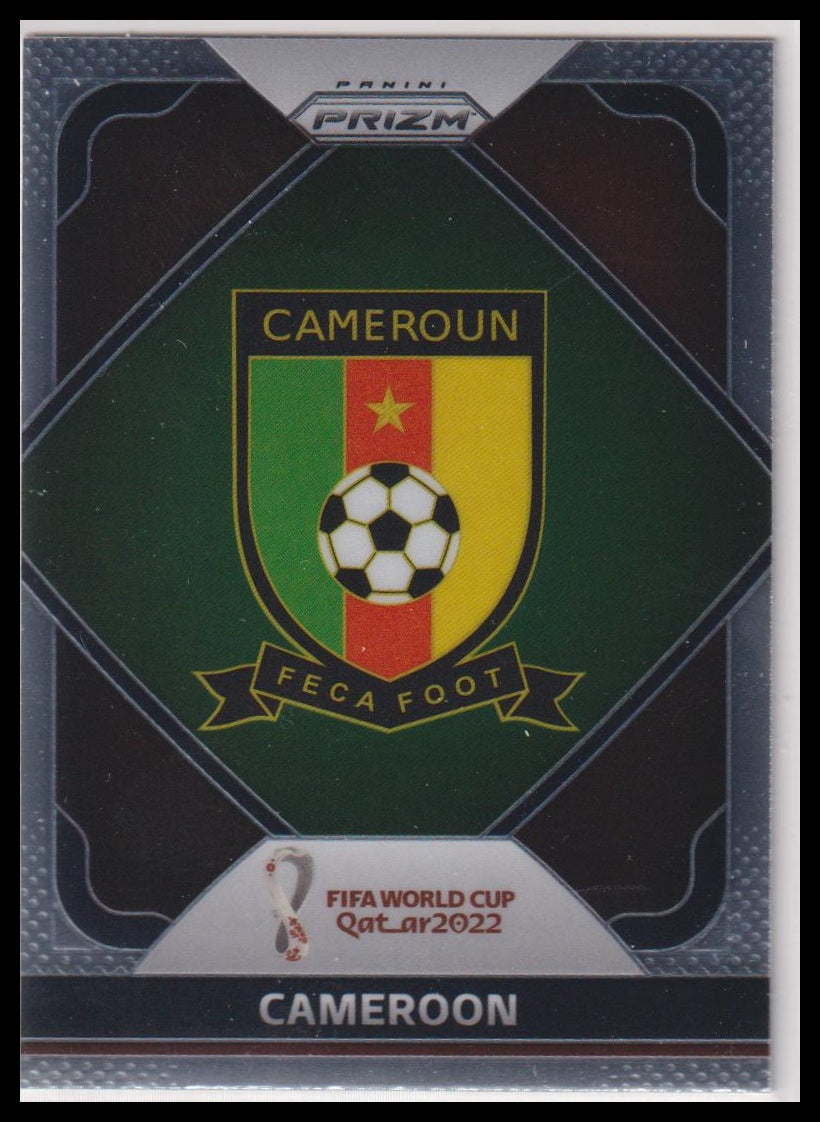 2022 World Cup Prizm Insert