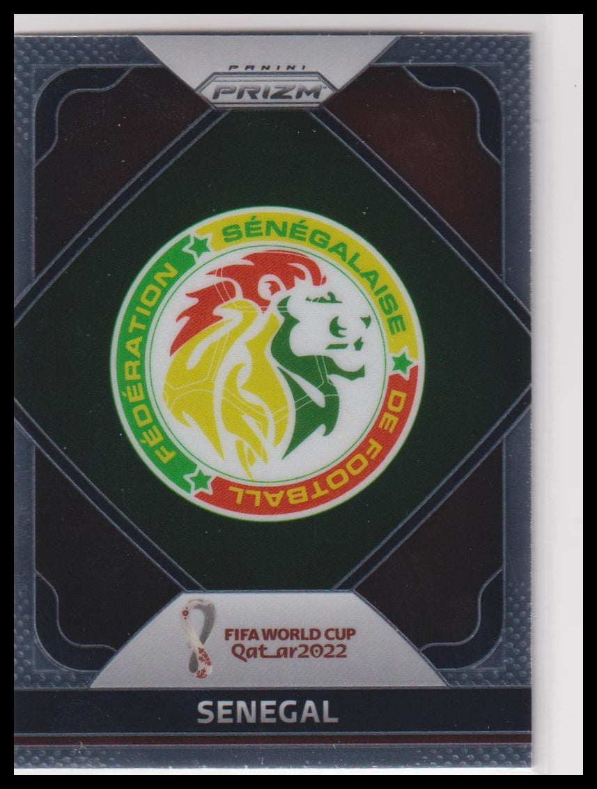 2022 World Cup Prizm Insert